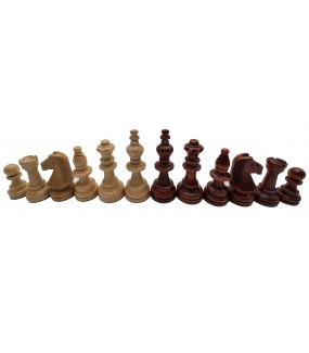 Tournament chess Nr 5